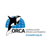 ORCA (Organisation Cetacea)