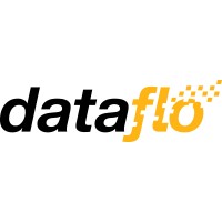 Dataflo Corporation logo