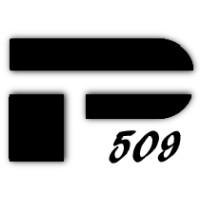Precizion 509 Gymnastics logo