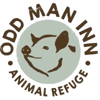 ODD MAN INN ANIMAL REFUGE logo