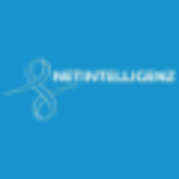 Publicis Consultants Net Intelligenz logo