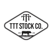 TTT Stock Company Ltd. logo