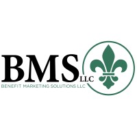 BMS LLC logo
