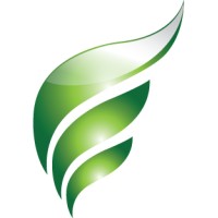 WISErg Corporation logo