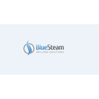 Bluesteam Wellpad Solutions logo