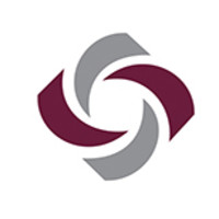 The Institute of Professional Practice, Inc. logo