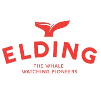 Elding Adventure At Sea logo