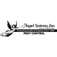 Angel Systems Inc logo
