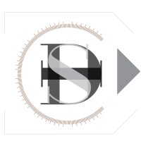 Development Solutions Inc. logo