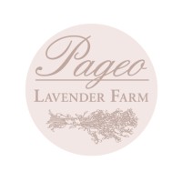 Pageo Lavender Farm logo
