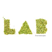 Cannabis LAB - Association Of Cannabis Industry Professionals logo
