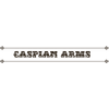CASPIAN ARMS LTD logo