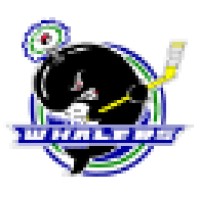 Plymouth Whalers logo