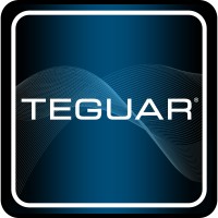 Teguar Corporation logo