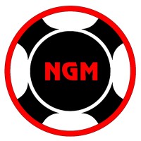 NetGain Motors, Inc. logo
