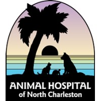 Animal Hospital Of North Charleston logo