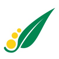 Acacia Partners logo
