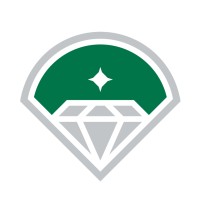 Diamond Baseball Holdings logo