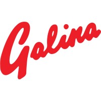Galina International Study Tours logo