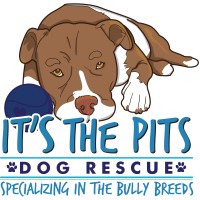 IT'S THE PITS logo