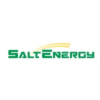 SALT Energy logo