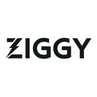 ZIGGY ⚡️ logo