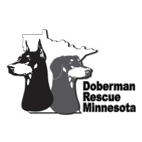 DOBERMAN RESCUE MINNESOTA logo
