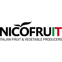 NicoFruit logo