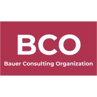 Business Consulting Organization logo