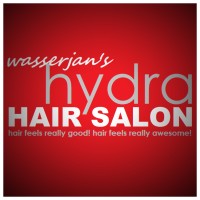 Hydra Hair Salon, Llc logo