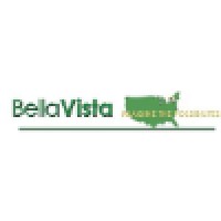 Bella Vista Group logo