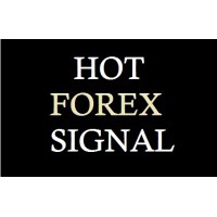Hot Forex Signal logo