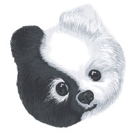 Chi Dog logo