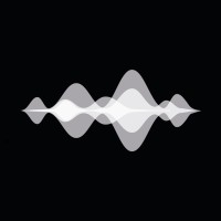 Steven Slate Audio logo