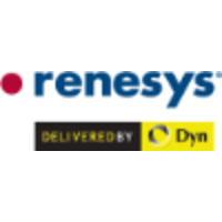 Renesys Corporation logo