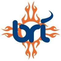 Brownrice Internet Inc. logo
