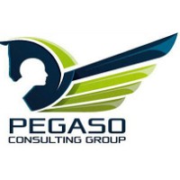 Pegaso Consulting Group logo