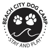 Beach City Dog Camp logo