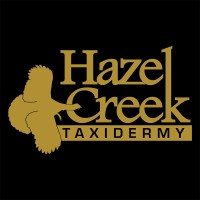 HAZEL CREEK TAXIDERMY logo