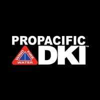 Pro Pacific DKI logo