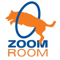 Zoom Room McKinney logo