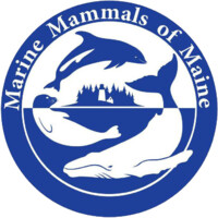 Marine Mammals Of Maine (MMOME) logo