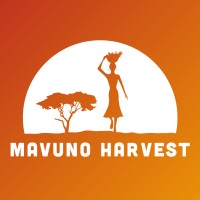 Mavuno Harvest logo