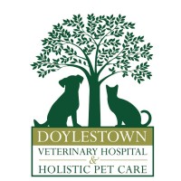 Doylestown Veterinary Hospital & Holistic Pet Care logo