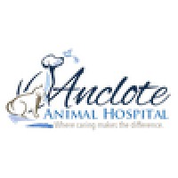 Anclote Animal Hospital logo