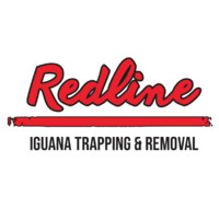 Redline Iguana Removal logo