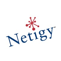 Netigy Corporation logo