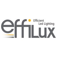 EFFILUX logo