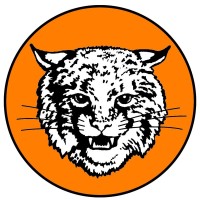 Northeastern Senior High School logo
