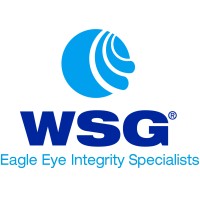 WSG Eagle Eye Integrity Specialists logo